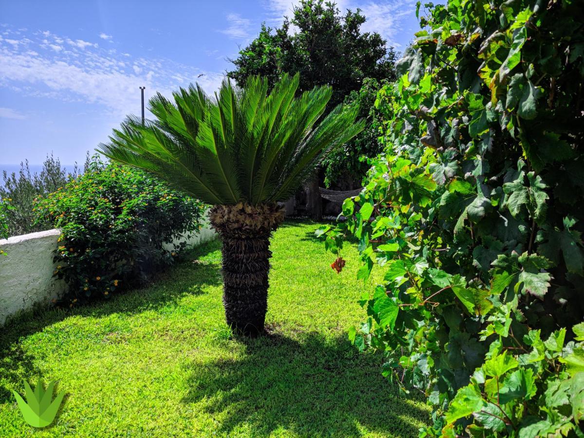 Villa Delle Agavi Vietri Exterior foto