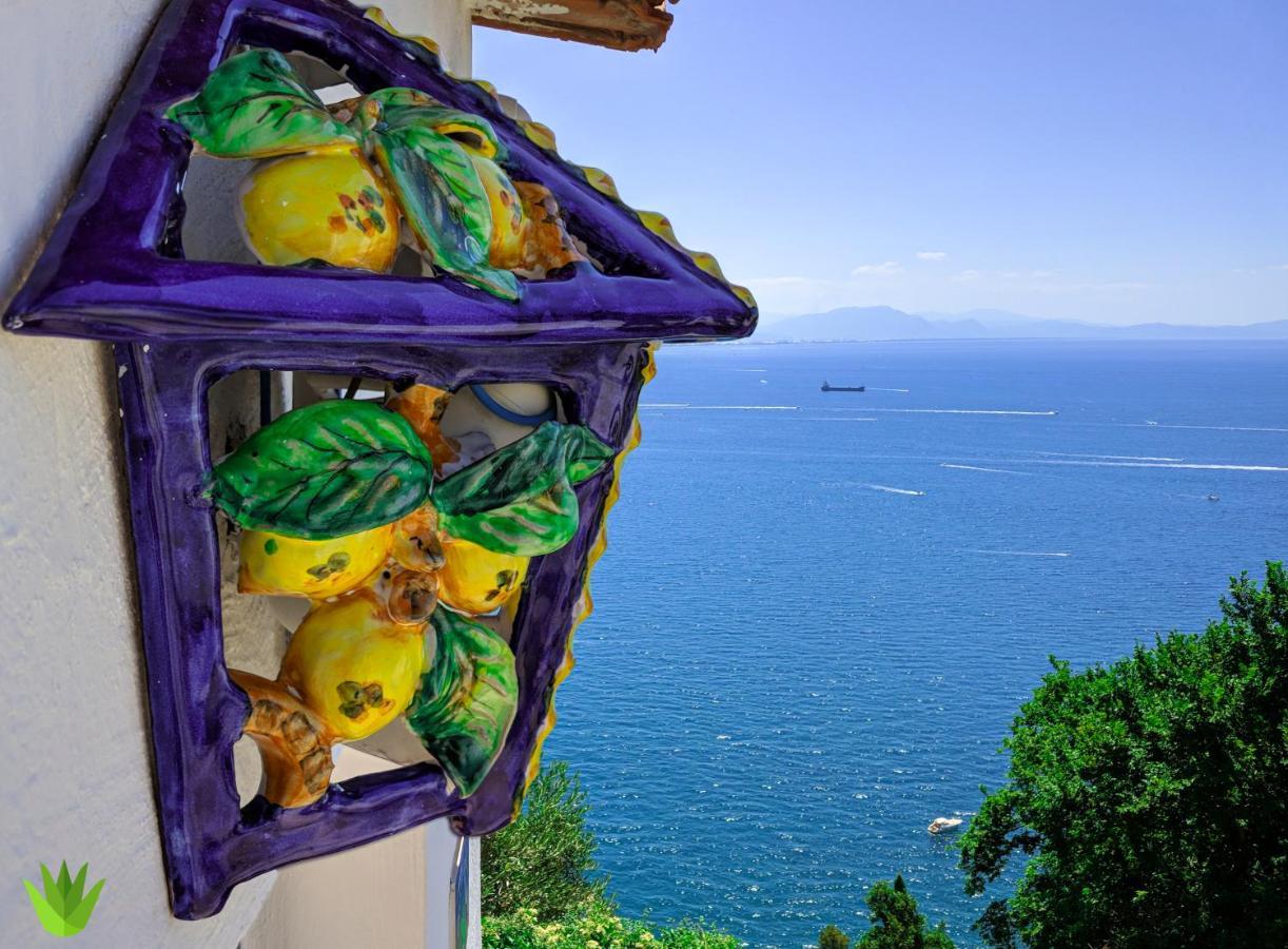 Villa Delle Agavi Vietri Exterior foto